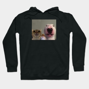 3 Little Dudes Looking At You Hoodie